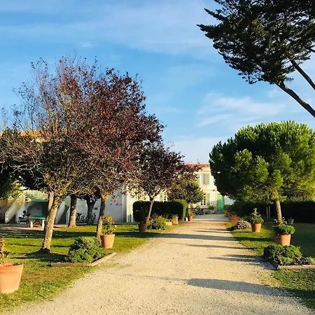 Daire Grand Jardin Et Piscine Coeur St-martin