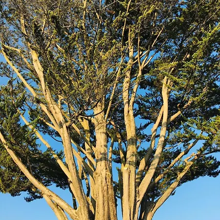 Grand Jardin Et Piscine Coeur St-martin Apartment *