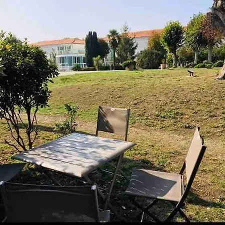 Grand Jardin Et Piscine Coeur St-martin *