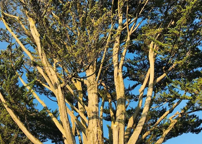 Grand Jardin Et Piscine Coeur St-martin Apartman *